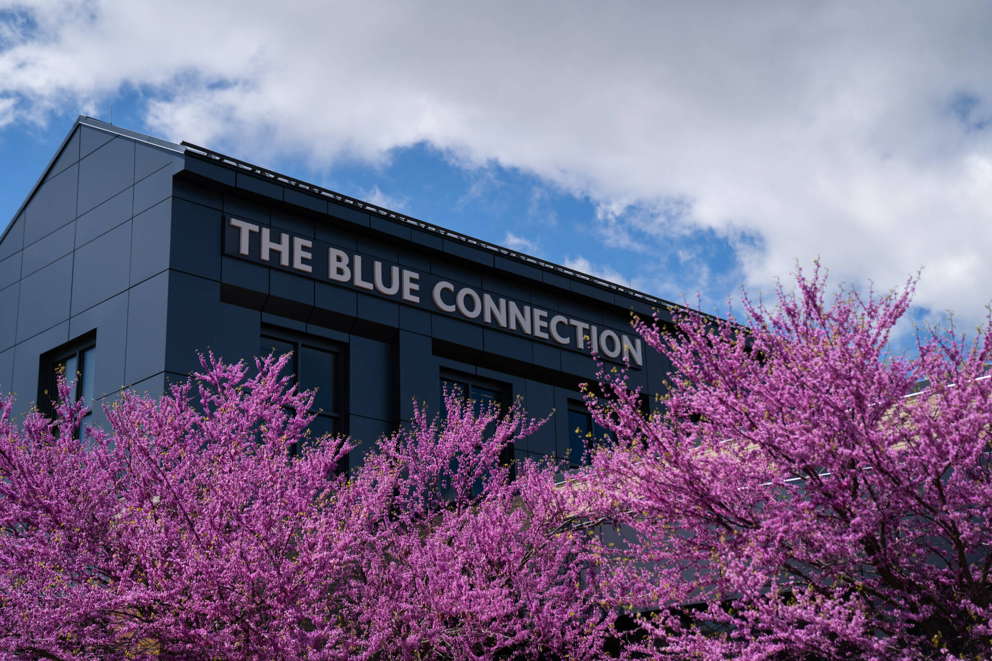 The Blue Connection
